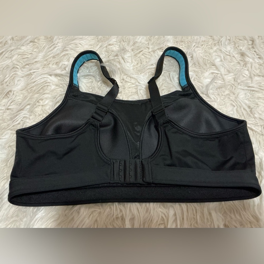 Champion Black Sports Bra with Light Blue Trim - Picture 5 of 8